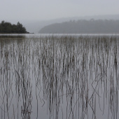 Paisaje