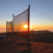 Alto Patache Atacama UC Research Station 2023