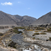 Rio Loa