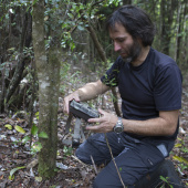 Senda Darwin