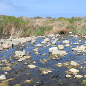 Río Loa