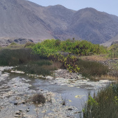 Paisaje