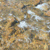 Detalle