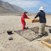 Estudiantes de arqueología