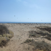 Paisaje