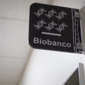Biobanco, Autora: Nicole Saffie