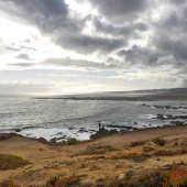 Vista playa, Autora: Nicole Saffie