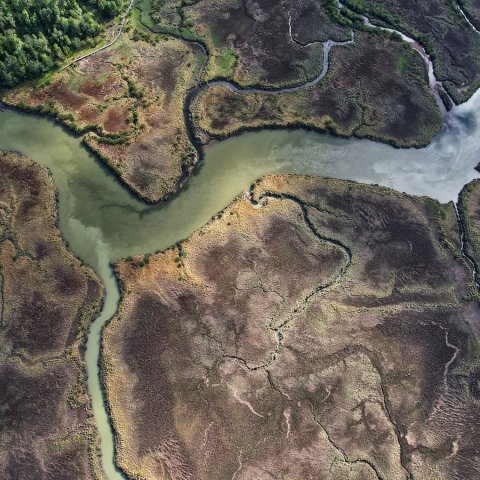 Entorno de la estación Patagonia UC desde el aire, Autor: Andres Charrier